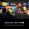 Вид 11